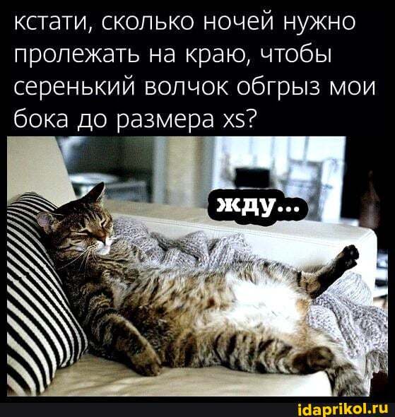 кстати, сколько ночей нужно пролежать на краю, чтобы серенький волчок обгрыз мои бока до размера х$?
жду...