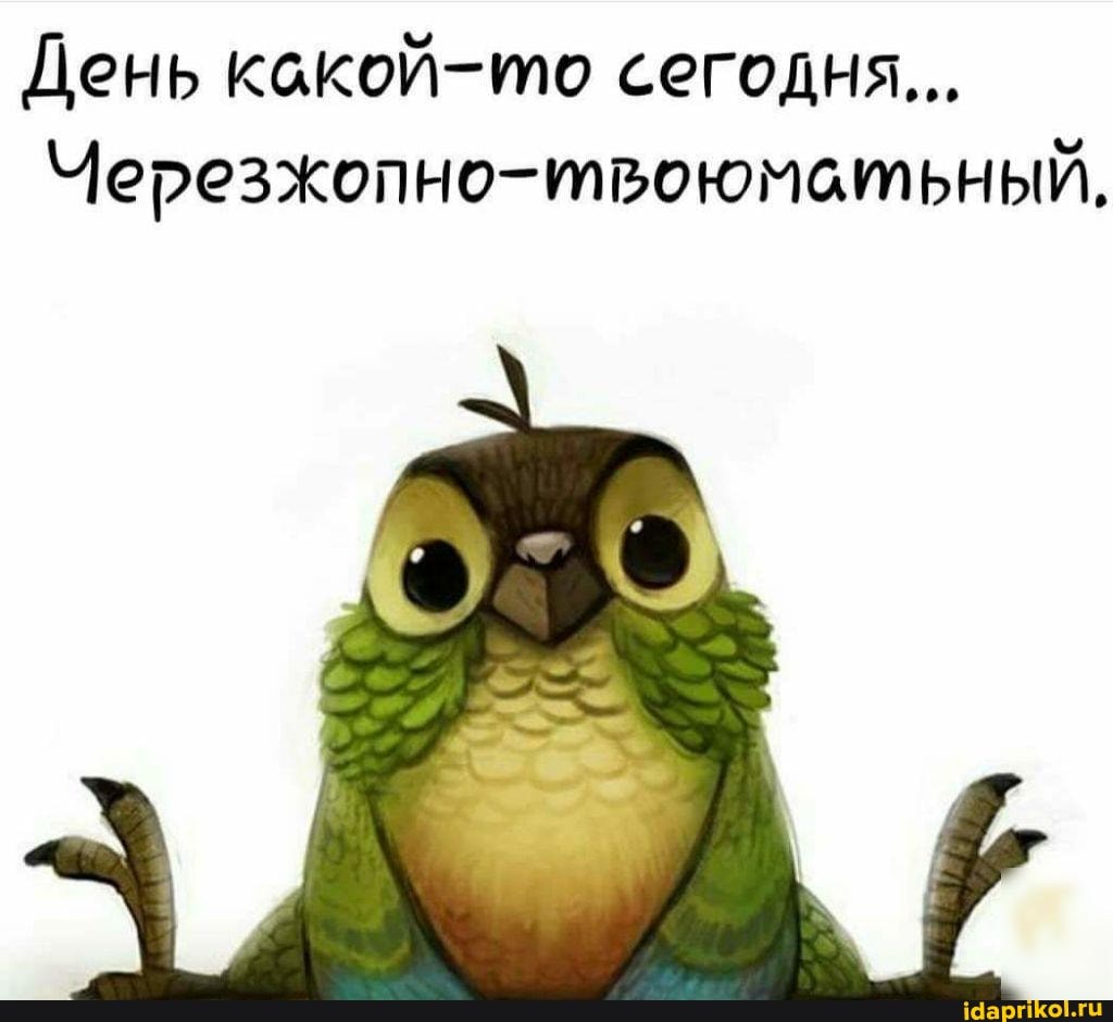 День кской-то сегодня...
Черезжопно-твоюмбатьный,