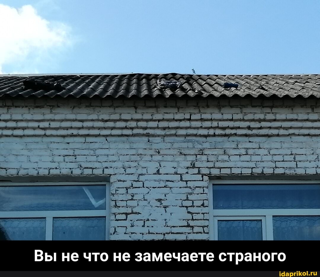 Вы не что не замечаете страного - Вы не что не замечаете страного
