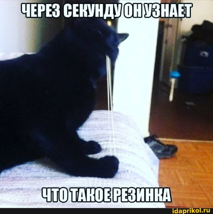 ЧЕРЕЗ СЕКУНДУОНУЗНАЕТ