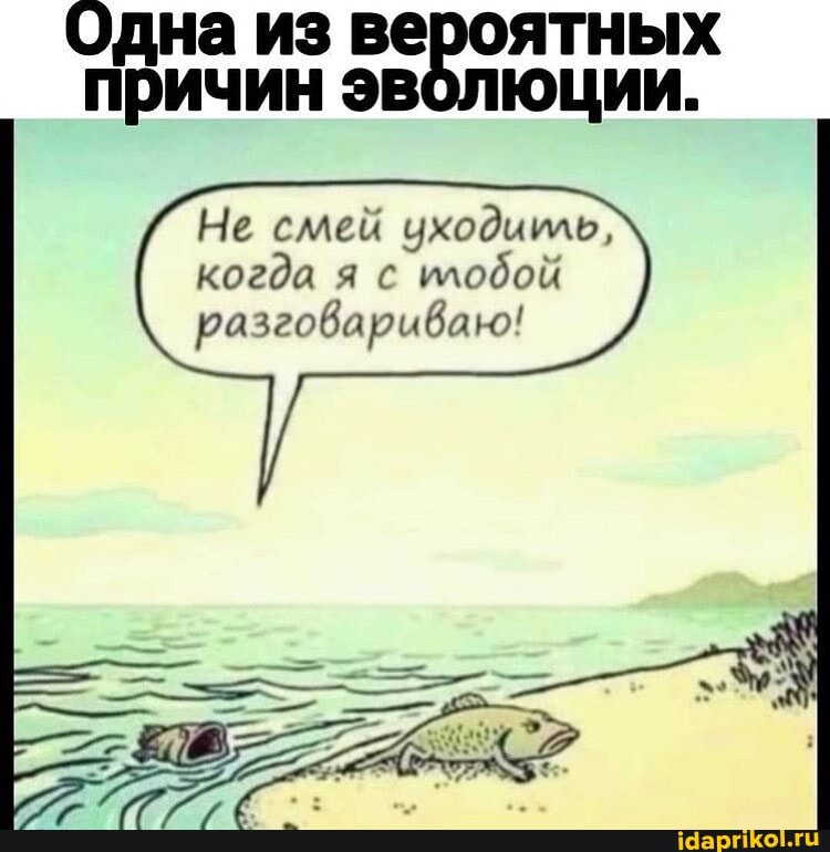 Одна из вероятных причин эволюции.
Не смей чходииль, когда я с илодой разговариваю!