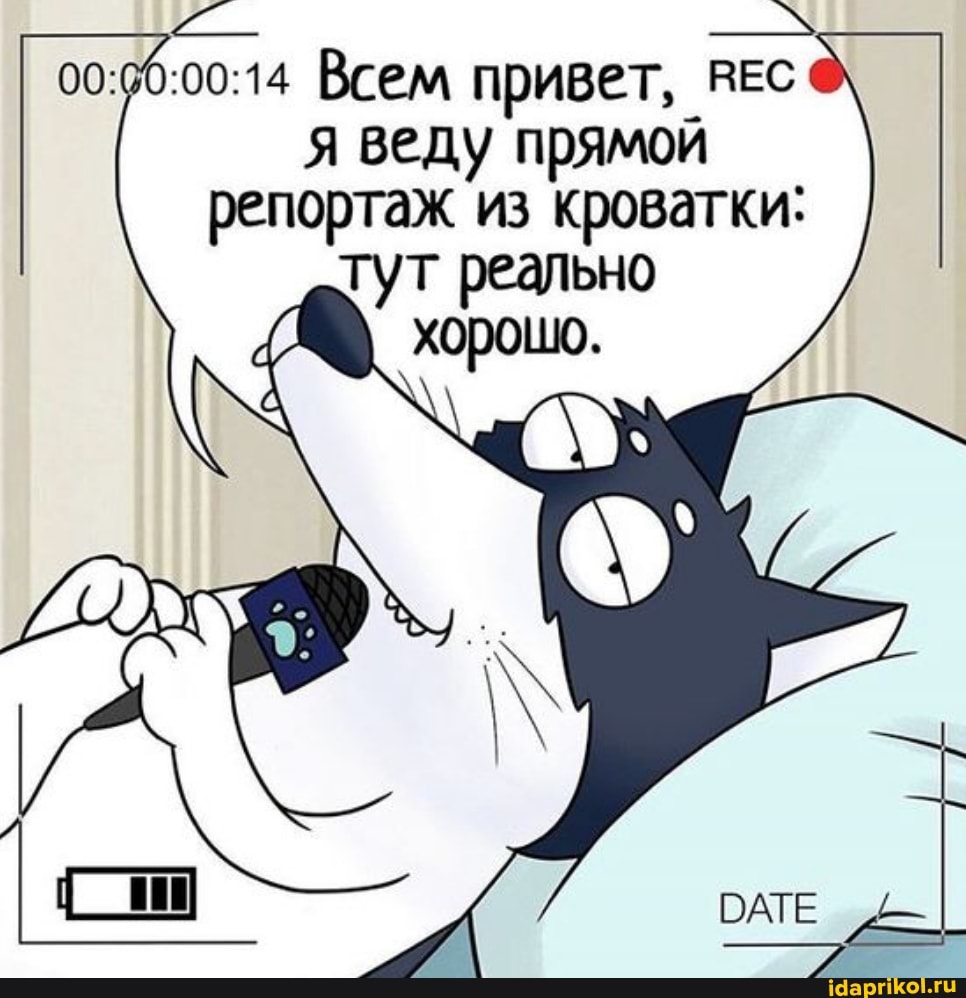 Всем привет, ВЕС я веду прямой репортаж из кроватки:
тут