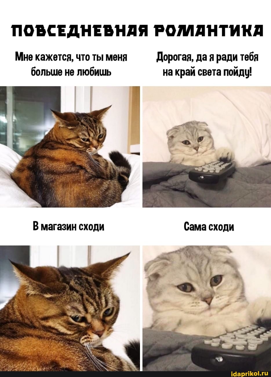 ПОВСЕДНЕВНАЯ РОЛЛАНТИКА
Мне кажется, что ты меня Дорогая, да я ради тебя больше не любишь на край света пойду!
В магазин сходи Сама сходи