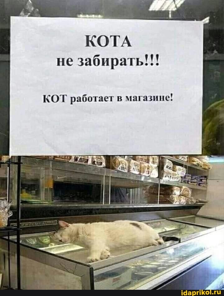 КОТА не забирать!!!
КОТ работает в магазине!
