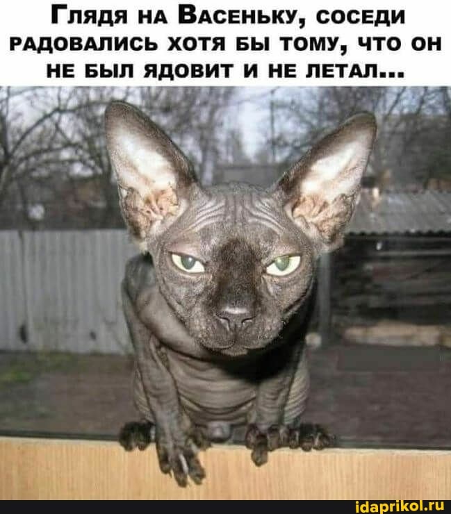 Аңғал апалар мен ата-аналардың қатысуымен орыс секс және порно