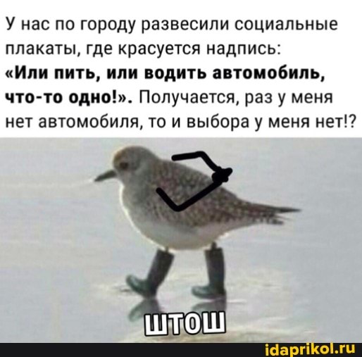У нас по городу развесили социальные плакаты, где красуется надпись:
"Или пить, или водить автомобиль, что-то одно!". Получается, раз у меня нет автомобиля, то и выбора у меня нет!?