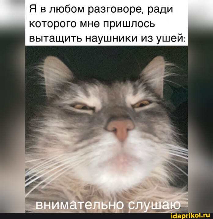 Я в любом разговоре, ради которого мне пришлось вытащить наушники из ушей: