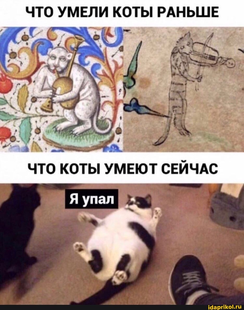ЧТО УМЕЛИ КОТЫ РАНЬШЕ
КОТЫ УМЕЮТ СЕЙЧАС
упал