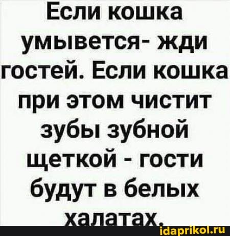 Если кошка умывется- жди гостей. Если кошка при этом чистит зубы зубной щеткой - гости будут в белых халатах.