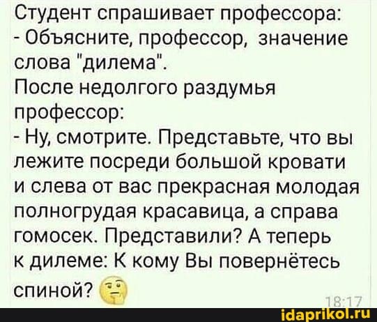 Студент спрашивает профессора:
- Обясните, профессор, значение слова "дилема".
После недолгого раздумья профессор:
- Ну, смотрите. Представьте, что вы лежите посреди большой кровати и слева от вас прекрасная молодая полногрудая красавица, а справа гомосек. Представили? А теперь
к дилеме: К кому Вы повернётесь
спиной?