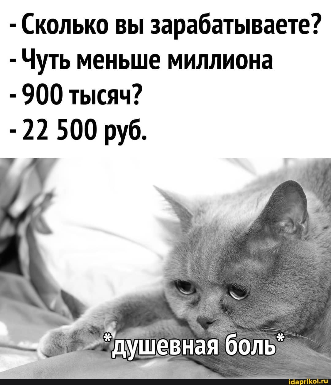 - Сколько вы зарабатываете?
- Чуть меньше миллиона
- 900 тысяч?
- 22 500 руб.
душевная боль