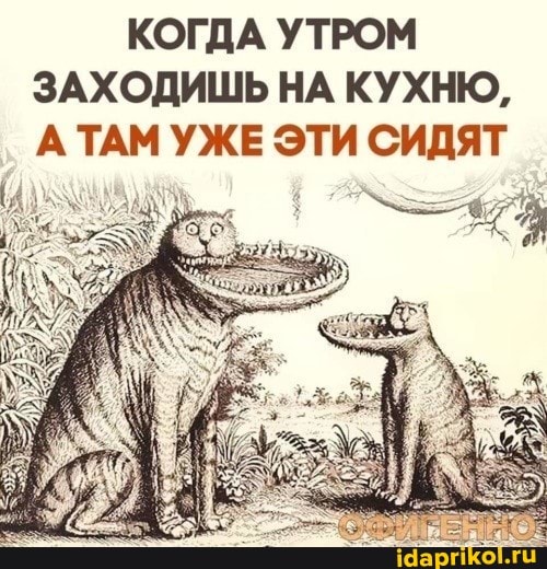 КОГДА УТРОМ
ЗАХОДИШЬ НА КУХНЮ,
АТАМ УЖЕ ЭТИ СИДЯТ