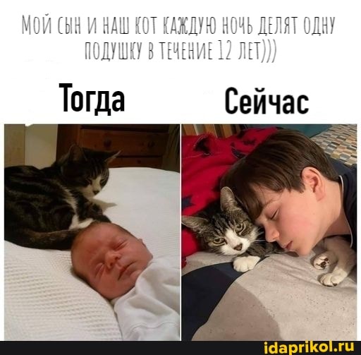 Тогда Сейчас