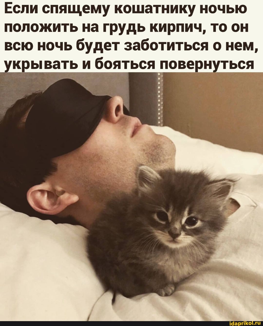 Если спящему кошатнику ночью
положить на грудь кирпич, то он всю ночь будет заботиться о нем, крывать и бояться повернуться