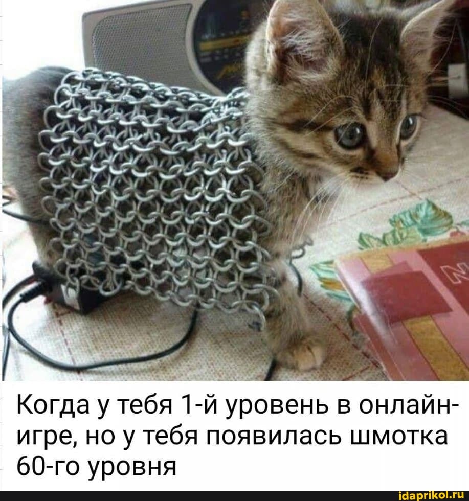 Когда у тебя уровень в онлайн- игре, но у тебя появилась шмотка