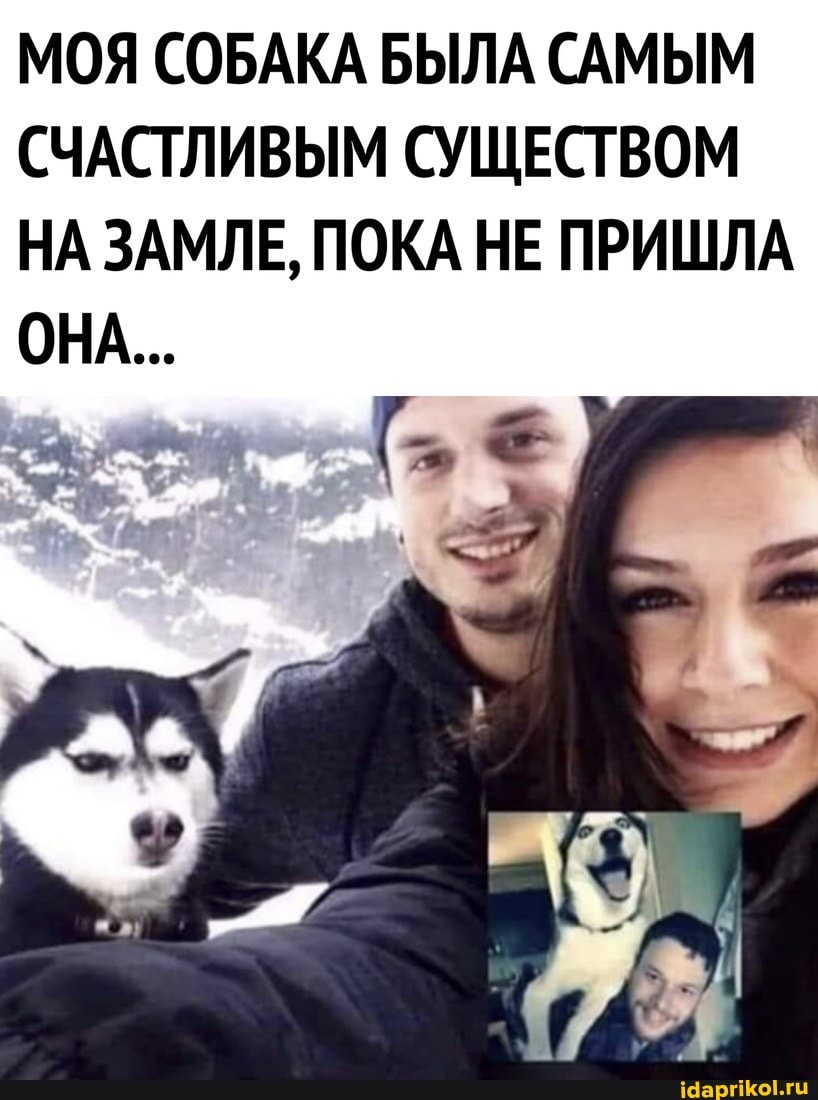 МОЯ СОБАКА БЫЛА САМЫМ СЧАСТЛИВЫМ СУЩЕСТВОМ НА ЗАМЛЕ, ПОКА НЕ ПРИШЛА ОНА...