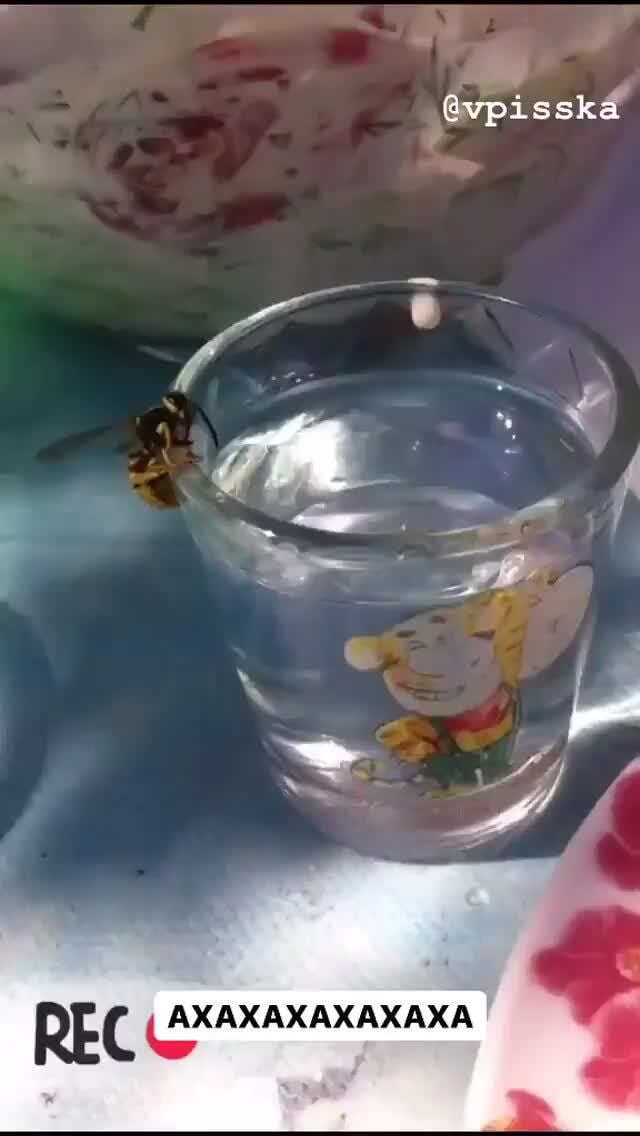 @vpisska et 57 REC AXAXAXAXAXAXA