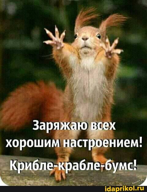 Заряжаю всех хорошим настроением!
Крибле-крабле-бумс!