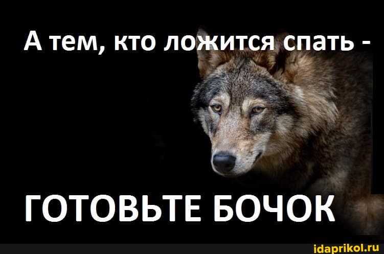 А тем, кто ложится спать -
ГОТОВЬТЕ БОЧОК