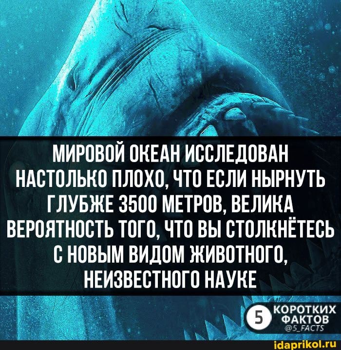 МИРОВОЙ ОКЕАН ИССЛЕДОВАН НАСТОЛЬКО ПЛОХО, ЧТО ЕСЛИ НЫРНУТЬ ГЛУБЖЕ 3500 МЕТРОВ, ВЕЛИКА ВЕРОЯТНОСТЬ ТОГО, ЧТО ВЫ СТОЛКНЕТЕСЬ НОВЫМ ВИДОМ ЖИВОТНОГО,
НЕИЗВЕСТНОГО НАУКЕ
КОРОТКИХ ФАКТОВ