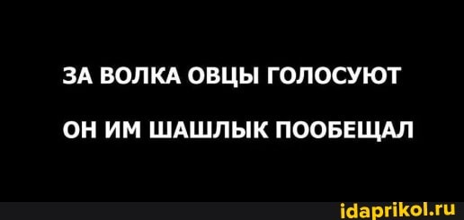ЗА ВОЛКА ОВЦЫ ГОЛОСУЮТ
ОН ИМ ШАШЛЫК ПООБЕЩАЛ