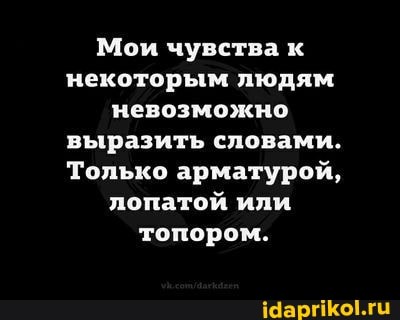Мои чувства к некоторым людям невозможно выразить словами.
Только арматурой, лопатой или топором.