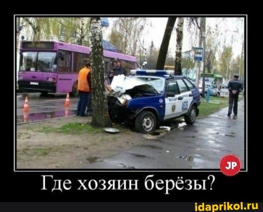 Где хозяин берёзы?