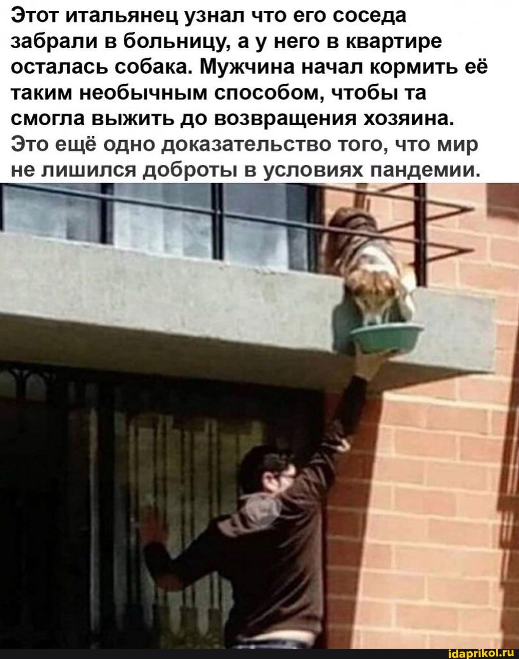 d85f4d246554b3d2b6dd845c741ae31902ecfa67