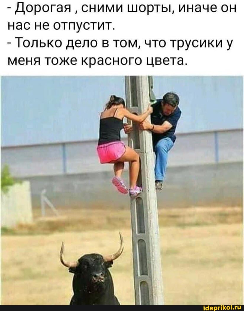 - Дорогая сними шорты, иначе он нас не отпустит.
- Только дело в том, что трусики у меня тоже красного цвета.