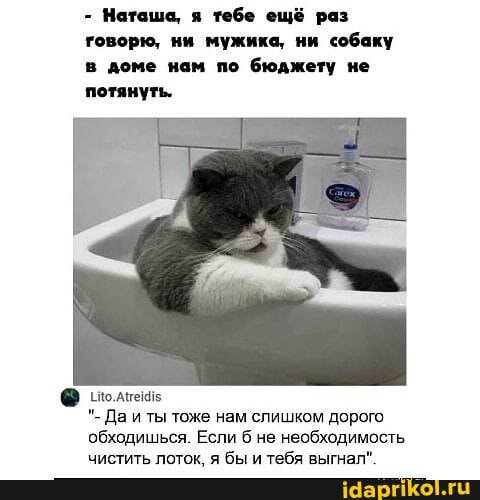 - Наташа, я тебе ещё раз говорю, ни мужика, ни собаку в доме нам по бюджету не потянуть.
полтечь
- Да и ты тоже нам слишком дорого обходишься. Если б не необходимость