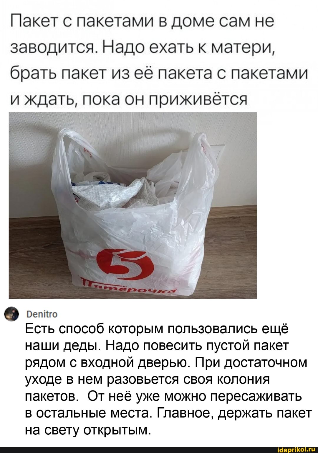 Пакет с пакетами в доме сам не заводится. Надо ехать к матери, брать пакет из её пакета с пакетами и ждать, пока он приживётся
бепйго
Есть способ которым пользовались ещё наши деды. Надо повесить пустой пакет рядом с входной дверью. При достаточном уходе в нем разовьется своя колония пакетов. От неё уже можно пересаживать в остальные места. Главное, держать пакет на свету открытым.