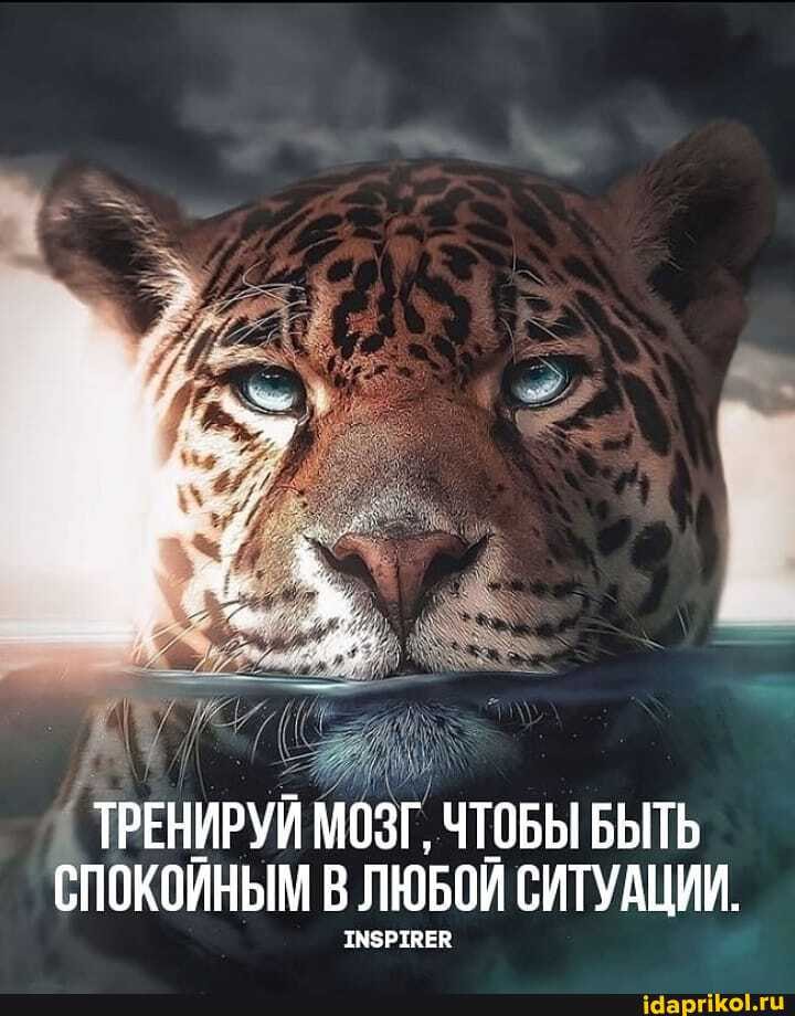 { ТРЕНИРУЙ МОЗГ, ЧТОБЫ БЫТЬ СПОКОЙНЫМ В ЛЮБОЙ СИТУАЦИИ.