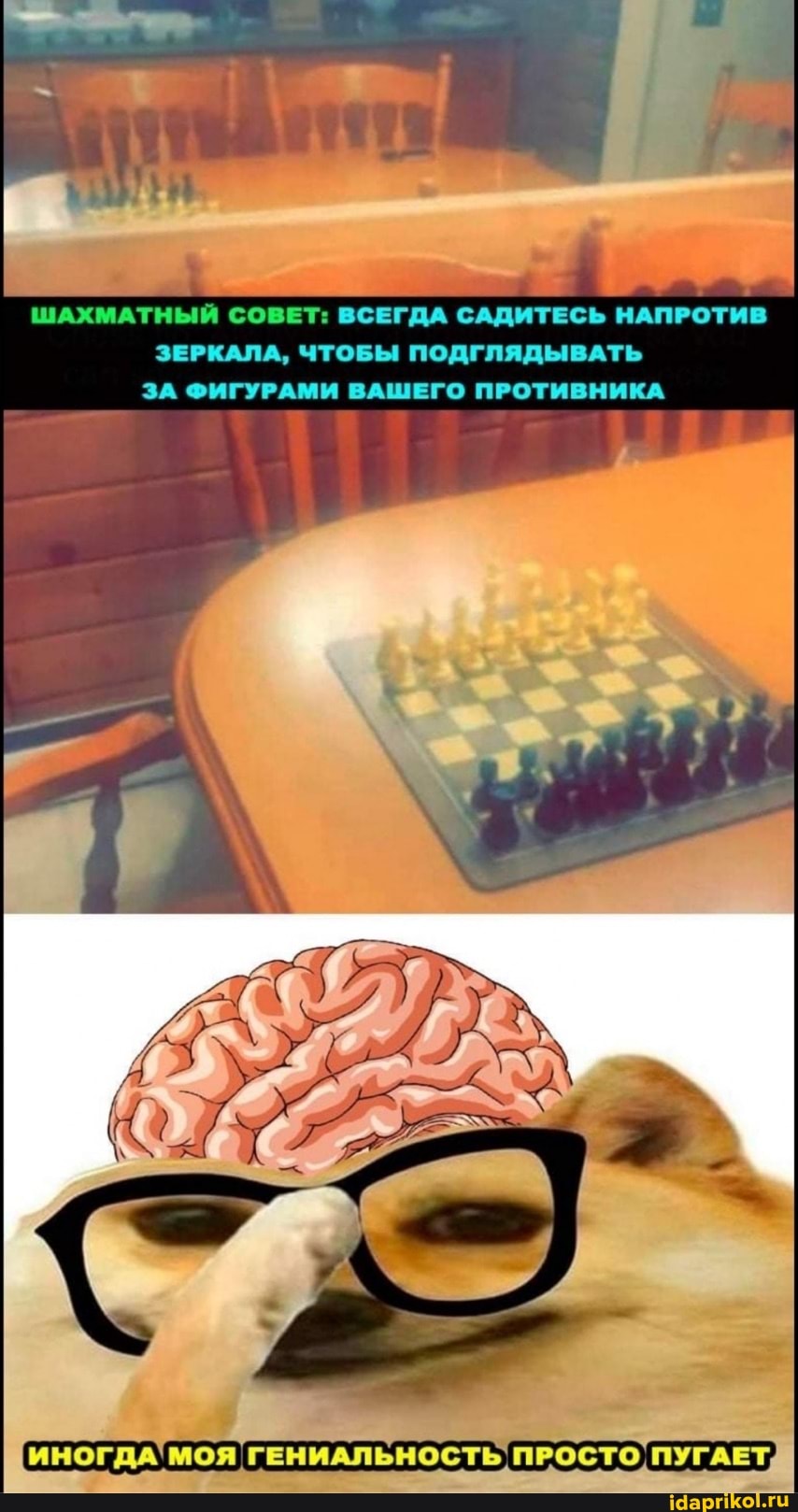 ШАХМАТНЫЙ СОВЕТ: ВСЕГДА САДИТЕСЬ НАПРОТИВ ЗЕРКАЛА, ЧТОБЫ ПОДГЛЯДЫВАТЬ ЗА ФИГУРАМИ ВАШЕГО ПРОТИВНИКА
ИНОГДА МОЯ ГЕНИАЛЬНОСТЬ ПРОСТО ПУГАЕТ,