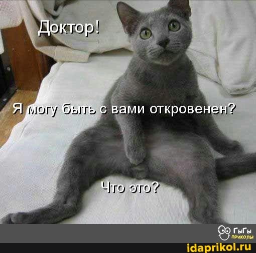 Доктор!
Я могу быть с ваыи откровенен?
Что это?
35 ГыГы