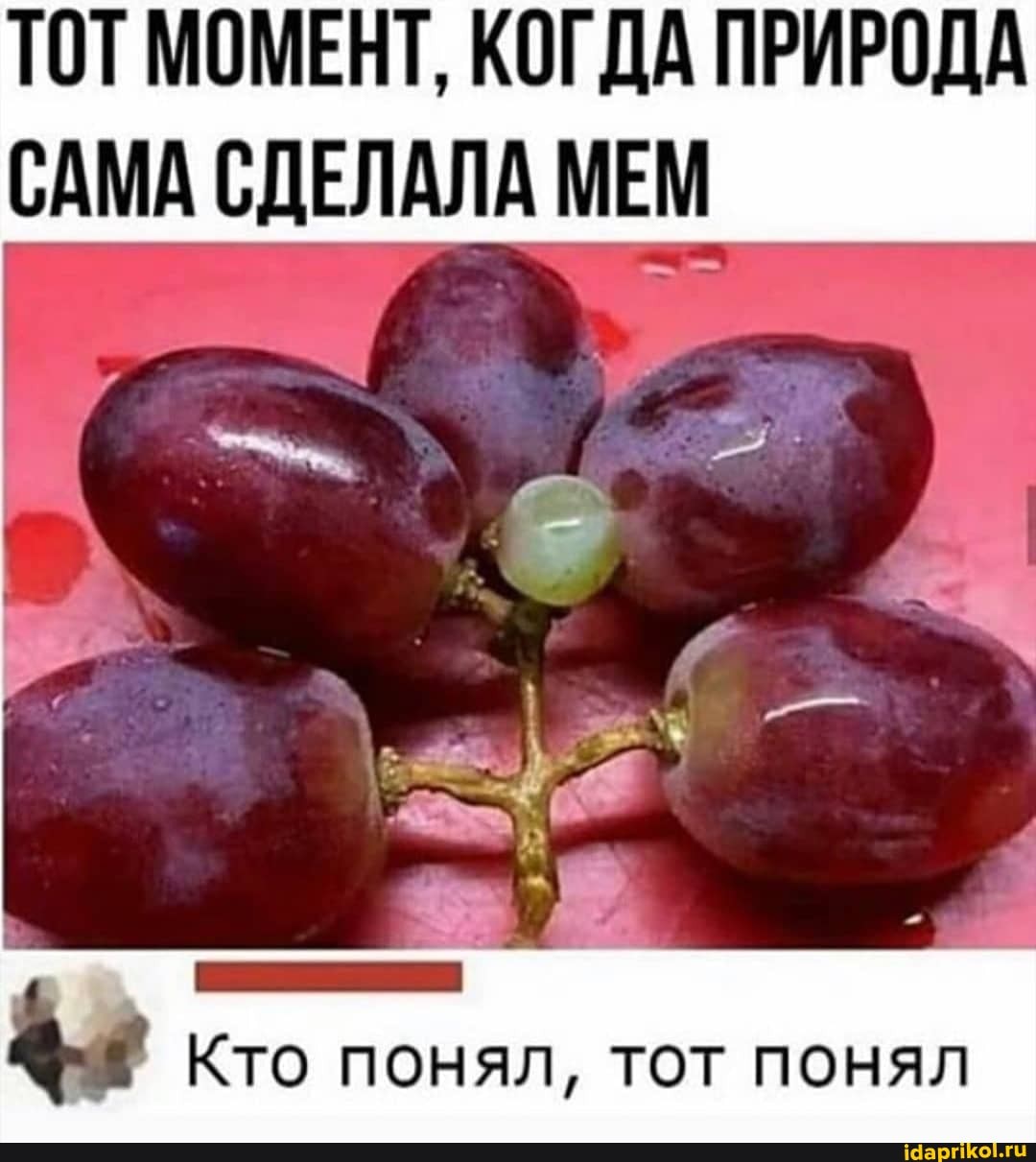 ТОТ МОМЕНТ, КОГДА ПРИРОДА САМА СДЕЛАЛА МЕМ
Кто понял, тот понял