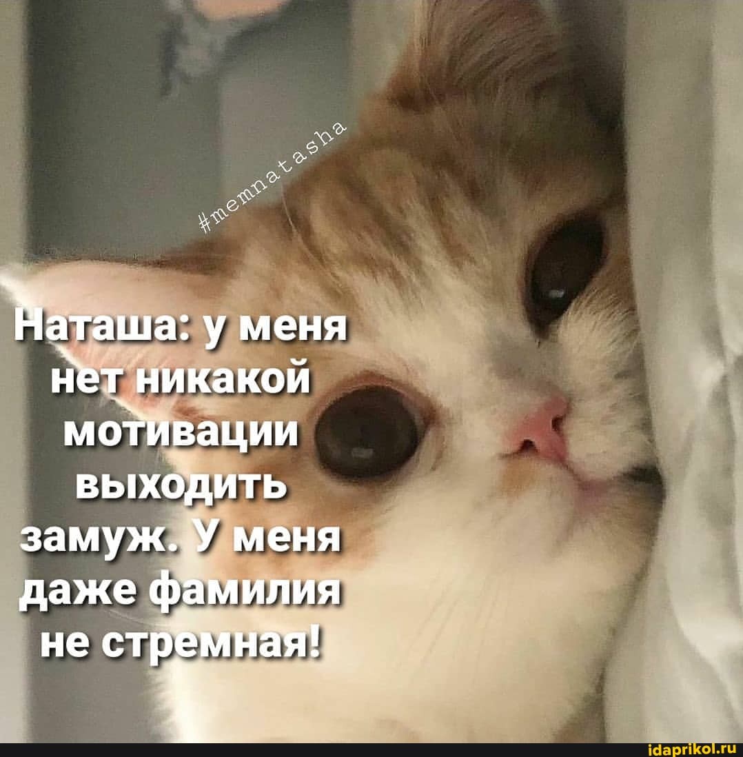 Наташа: у меня нет никакой мотивации выходить замуж. У меня даже фамилия не стремная!