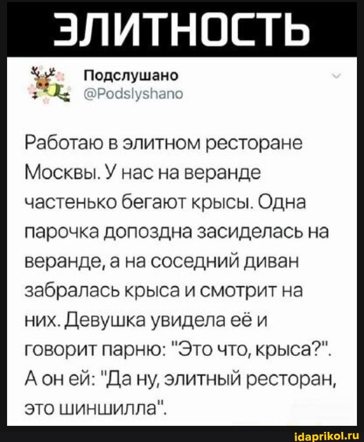 ЭЛИТНОСТЬ
Род $Iузпапо
Работаю в элитном ресторане
Москвы. У нас на веранде частенько бегают крысы. Одна
парочка допоздна засиделась на веранде, а на соседний диван забралась крыса и смотрит на них. Девушка увидела её и говорит парню: "Это что, крыса?".
он ей: "Да ну, элитный ресторан, это шиншилла".