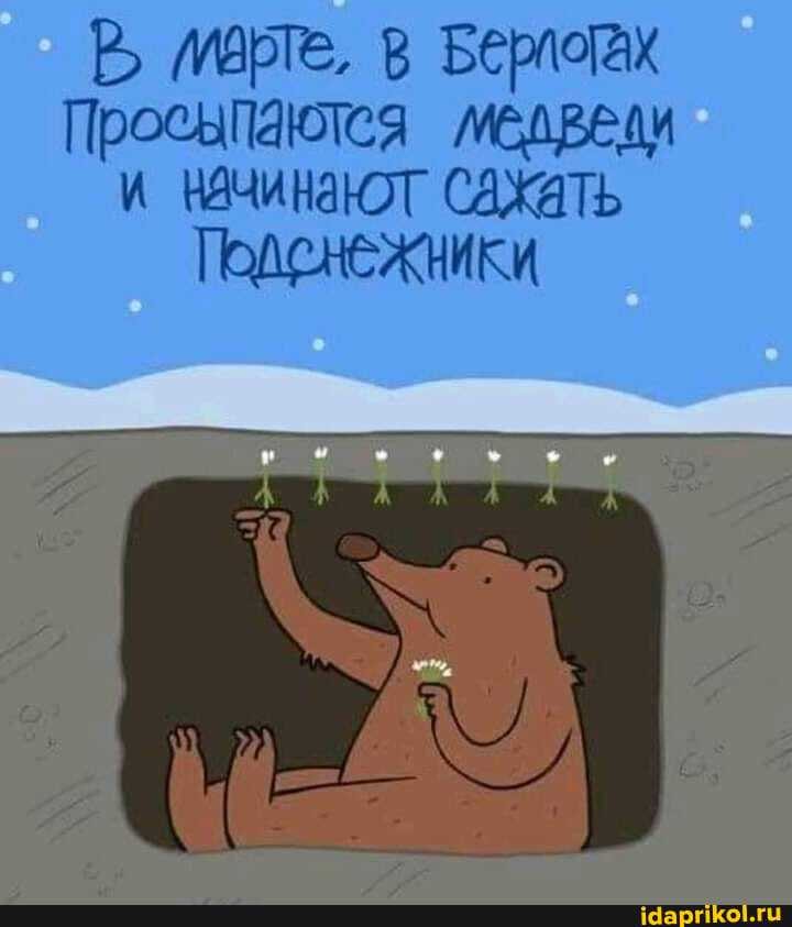 и начинают сажать