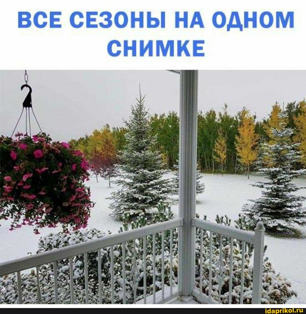 ВСЕ СЕЗОНЫ НА ОДНОМ
СНИМКЕ
