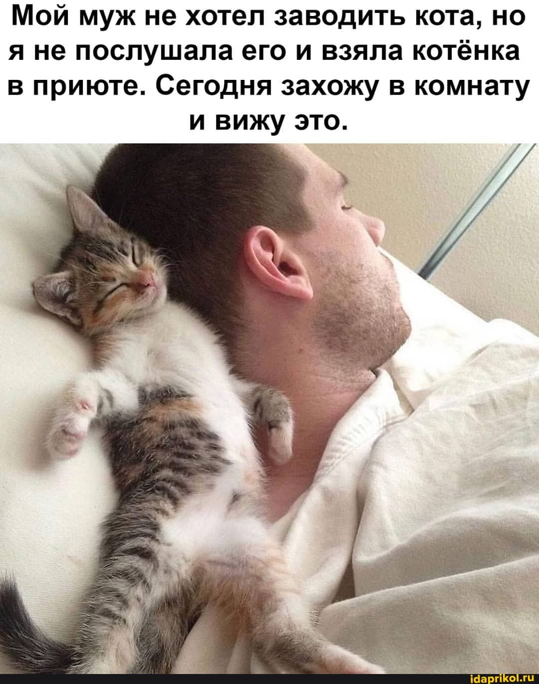 Мой муж не хотел заводить кота, но
я не послушала его и взяла котёнка
в приюте. Сегодня захожу в комнату и вижу это.