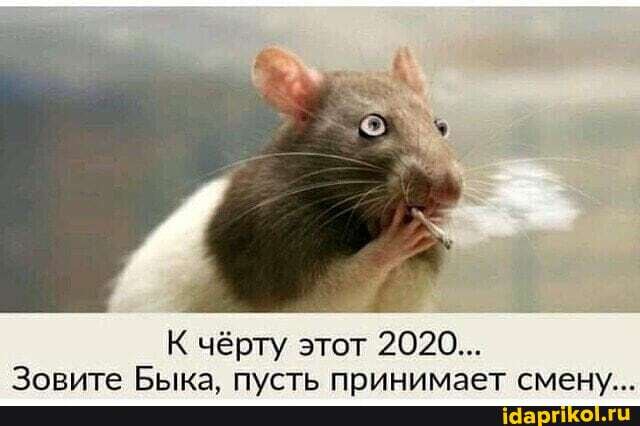 К чёрту этот 2020...
ЗаритР Ениыиа путь принимррет смен