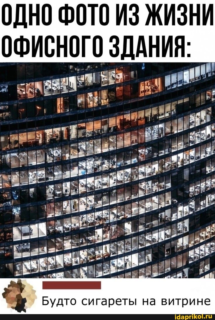 ОДНО ФОТО ИЗ ЖИЗНИ
ОФИСНОГО ЗДАНИЯ:
Будто сигареты на витрине