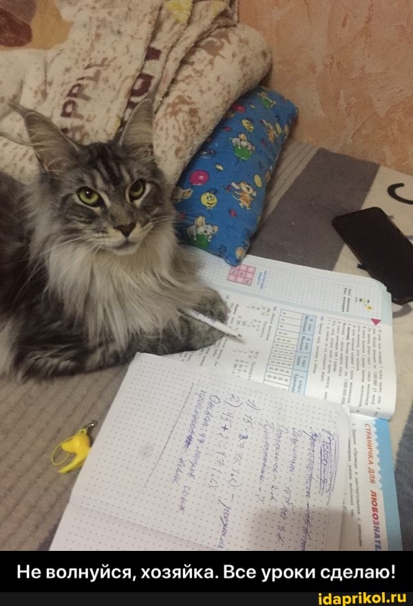 Не волнуйся, хозяйка. Все уроки сделаю! - Не волнуйся, хозяйка. Все уроки сделаю!