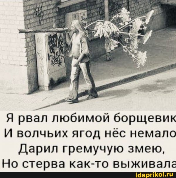 Я рвал любимой борщевик
И волчьих ягод нёс немало
Дарил гремучую змею,
Но стерва как-то выживала