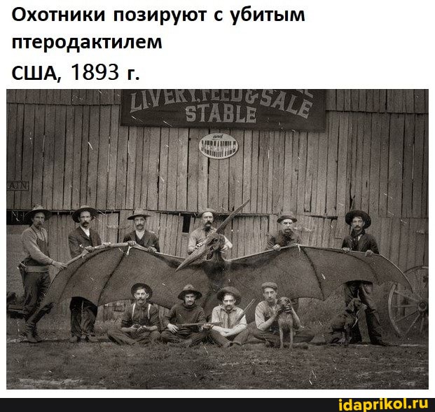 Охотники позируют с убитым птеродактилем
США, 1893 г.