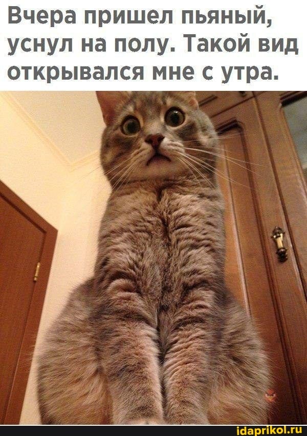 Вчера пришел пьяный, уснул на полу. Такой вид открывался мне с утра.