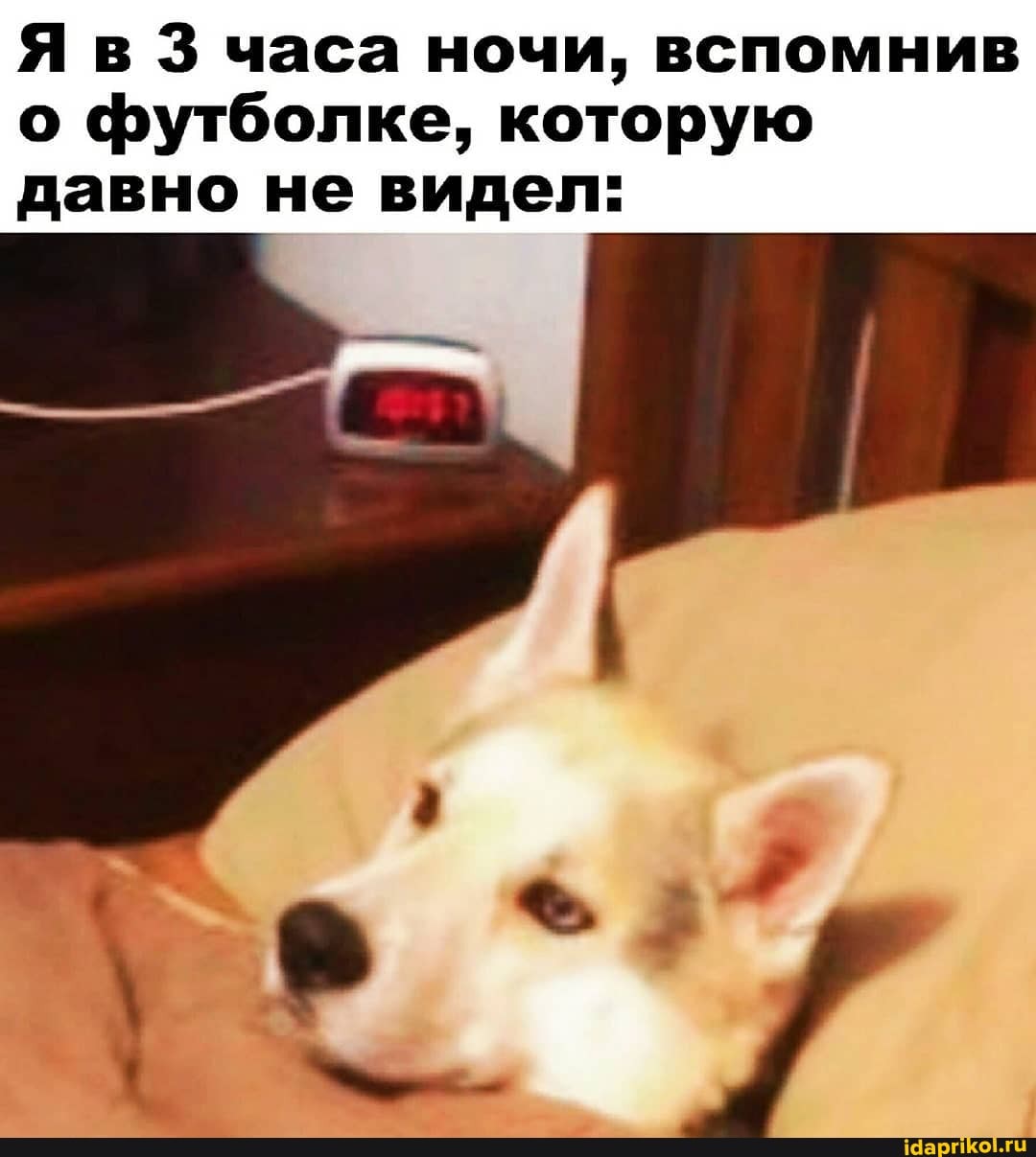 Я в 3 часа ночи, вспомнив о футболке, которую давно не видел: