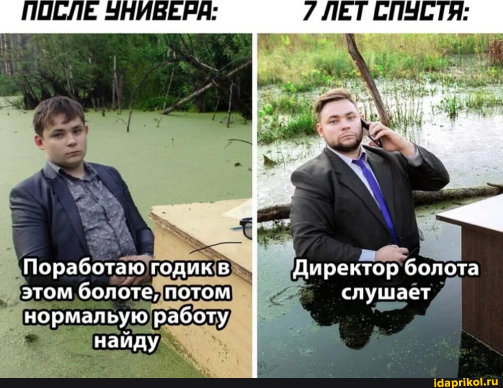 Директорды блять