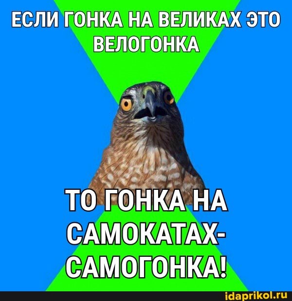 ЕСЛИ ГОНКА НА ВЕЛИКАХ ЭТО ВЕЛОГОНКА
ТО ГОНКА НА САМОКАТАХ-
САМОГОНКА!