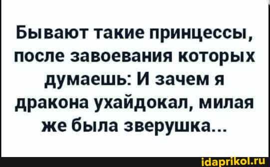 Бывают такие принцессы, после завоевания которых думаешь: И зачем я дракона ухайдокал, милая же была зверушка...